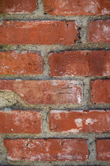 Obraz premium old brick wall texture