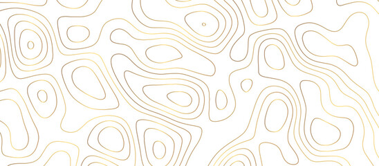 abstract golden wave paper curved reliefs background. Topography map pattern, Geographic curved, vector illustration. seamless textrue, vintage waves. Panorama view multicolor wave curve line.