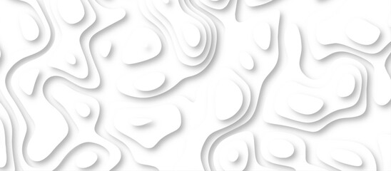 3d render, abstract white paper background. Paper cut vector art background banner texture. multi layer cutout geometric pattern on vector, Abstract soft white background with waves.