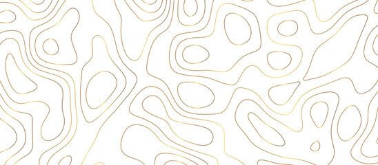 abstract golden wave paper curved reliefs background. Topography map pattern, Geographic curved, vector illustration. seamless textrue, vintage waves. Panorama view multicolor wave curve line.