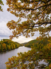 Obraz premium Herbstzauber an der Talsperre Kriebstein (Sachsen, Deutschland) Blick vom Aussichtspunkt am Rundwanderweg auf die Zschopau und die farbenfroh gefärbten Wälder.