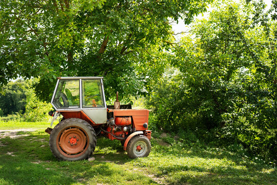 A vintage red tractor parked under a lush green tree on a sunny day, showcasing rural and agricultural scenery.