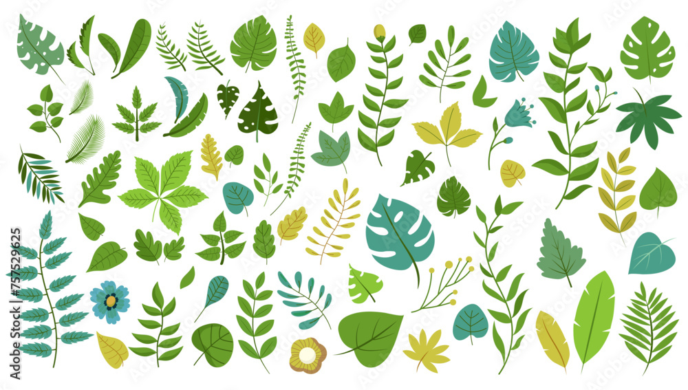 Aufkleber leaves design elements collection - bundle of vector illustration of various leaf shapes in differen