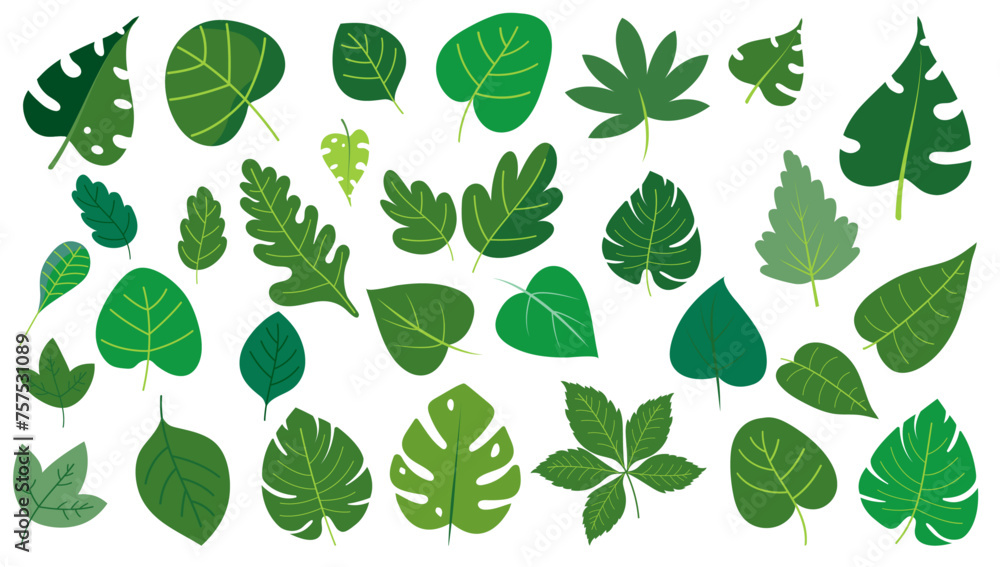 Aufkleber green leaves vector collection - set of graphical design elements with various leafs in different sh