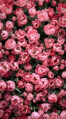 Naklejka premium flowers tulips background.