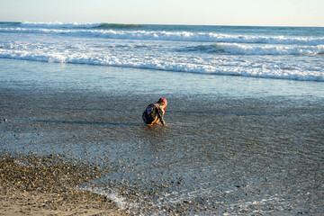 Girl picking sea shells on the beach of Costa Rica