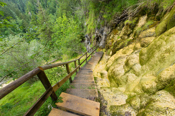 Naturlehrpfad Quelltuff, Lingenau, Bregenzer Wald, Vorarlberg, Österreich