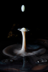 gotas de agua