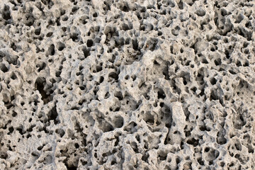 Texture of spongy-looking sea rock surface in the Eastern Mediterranean coast