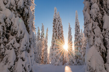 sunset in winter