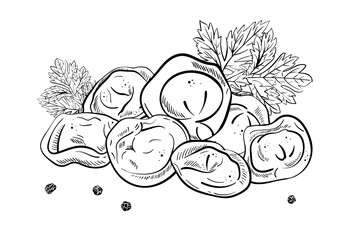 Dumplings composition. Bay and parsley leaf. Black pepper peas. Ink hand drawing. Food, vegetables isolated on white background. Book sketch illustration, recipe, menu, magazine or journal article.