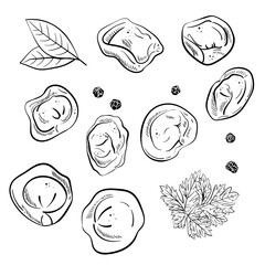Dumplings set. Bay leaf. Black pepper peas. Ink hand drawing. Food, vegetables and fruit isolated on white background. Book sketch illustration, recipe, menu, magazine or journal article.