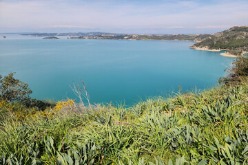 Sea onions at the shore of Seyhan Dam Lake in the eastern Mediterranean region