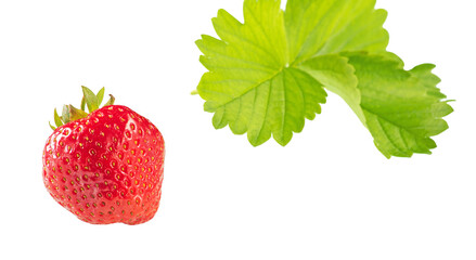 One bright strawberry and a green strawberry leaf on a white mirror background