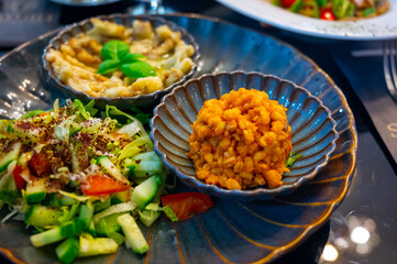 Vegetarian dishes, mezze in Turkish restaurant, bulgur pilaf, grilles eggplants and fresh vegetables salad