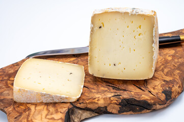 Piece of Ciambella Trufilo cheese made with summer truffel from Piedmontese cow milk in Langa area, Italy
