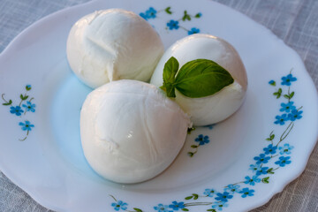 Cheese collection, white balls of soft Italian cheese mozzarella, served with olive oil, fresh basil leaves