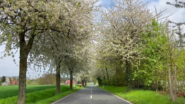 Countryside Road Images – Browse 1,491,856 Stock Photos, Vectors, and ...