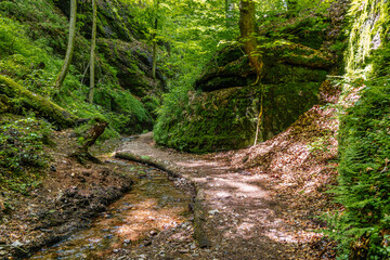 Wanderweg durch die Drachenschlucht in Eisenach Thüringen