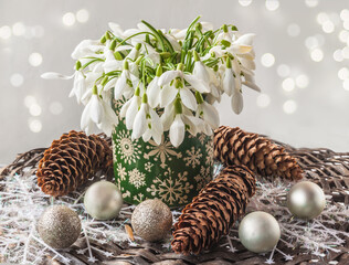 Snowdrops, cones and balls on a gray background.