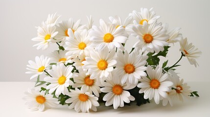 Crisp White Delight Group of White Daisies on a White Background