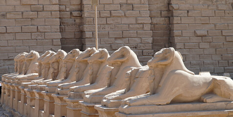 Temple of Karnak. Sphinx Statues with the Head of a Ram. - obrazy, fototapety, plakaty