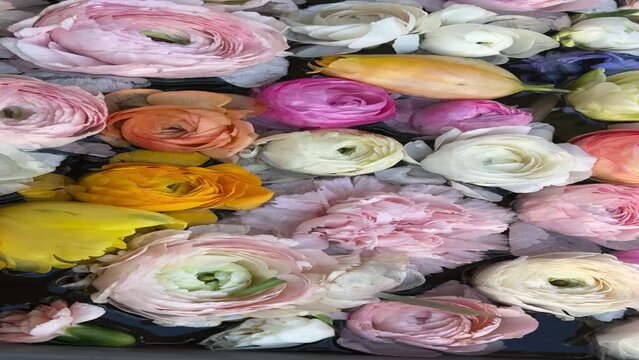 Beautiful flowers roses, lily, hyacinth, ranunculus pink white yellow petals in the water, vertical video.