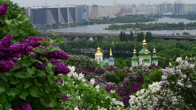 Nice 4k video of lilac garden at spring time in Kyiv, Ukraine Trinity Monastery of St. Jonas Kiev Ukraine travel Europe spring in lilac flowers