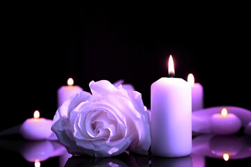 Violet rose and burning candle on black mirror surface in darkness, closeup. Funeral attributes