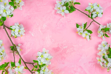 a branch of spring blossoming apple tree on a pink background.