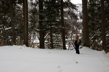 person walking in winter forest