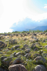 Around Cholpon Ata, Kyrgyzstan