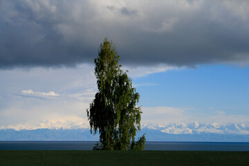Fototapeta premium Tian Shan Mountains at Issyk-Kul, Cholpon Ata, Kyrgyzstan