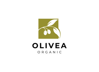 Olive oil logo vector design.