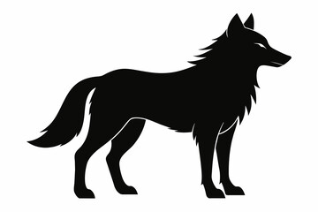 Wolf silhouette and on white background