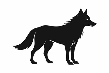Wolf silhouette and on white background