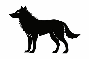 Wolf silhouette and on white background