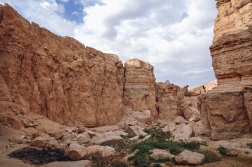 Fototapeta premium Canyon in Tamerza also called Tamaghza Oasis in Tunisia