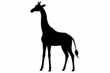Giraffe silhouette and black on white background