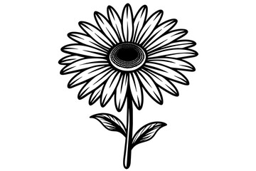 Flower vector illustration