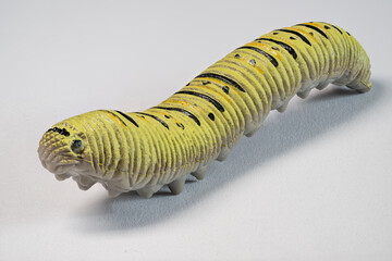 Macro detail of a plastic caterpillar from the fennel weevil.