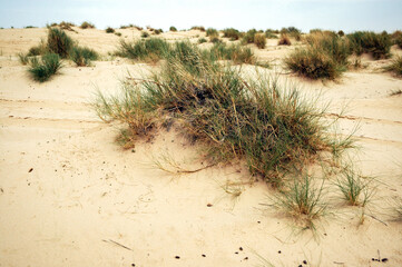 View from road to Star Wars The Phantom Menace movie set of Mos Espa near Nefta, Tunisia
