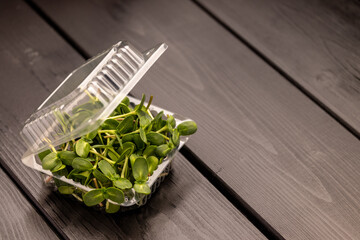 A clear plastic container of fresh sunflower microgreens on a dark wooden surface.