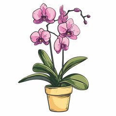Naklejka na ściany i meble Illustration of an orchid plant on white background
