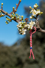 Bracelet of Bulgarian origin called "Martenitsa" that grants three wishes by hanging it under a flowering tree.