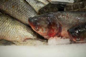 Fish on the counter. Sale of fish. Silvery scales.