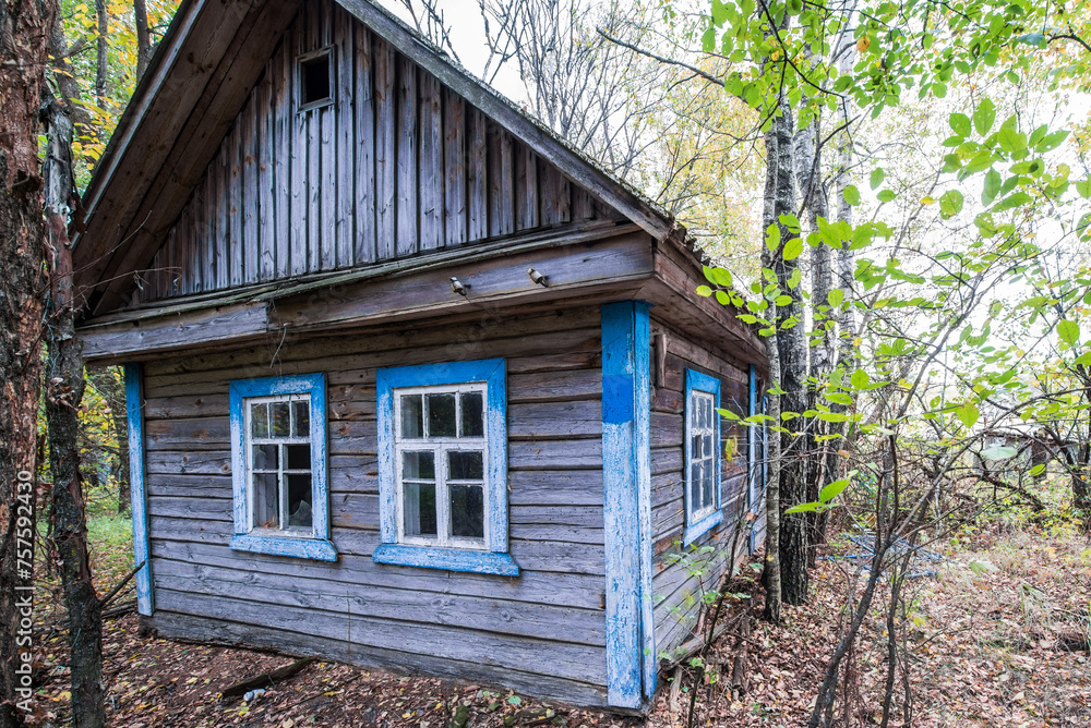 Canvas Prints Wooden cottage in abandoned Stechanka village in Chernobyl Exclusion Zone in Ukraine