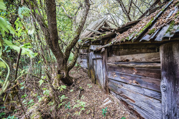 Collapsed barn in abandoned Stechanka village in Chernobyl Exclusion Zone