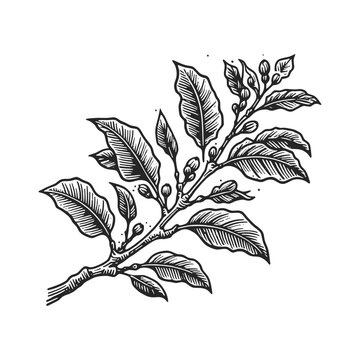 lush coffee plant growing from a classic coffee cup sketch line art engraving generative ai vector illustration. Scratch board imitation. Black and white image.