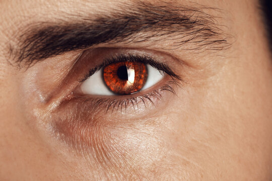 Captivating gaze. Man with brown eyes, closeup